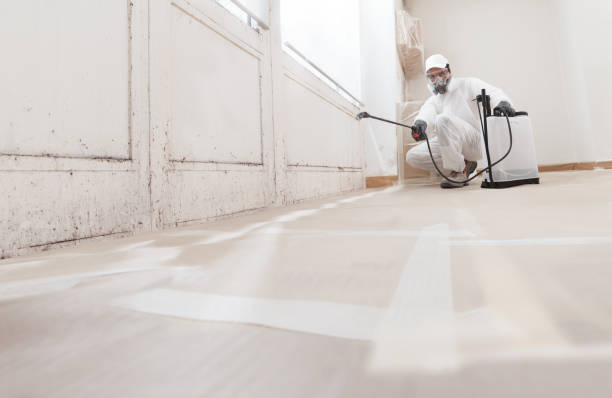 24/7 Emergency Mold Remediation experts in Bunn, NC