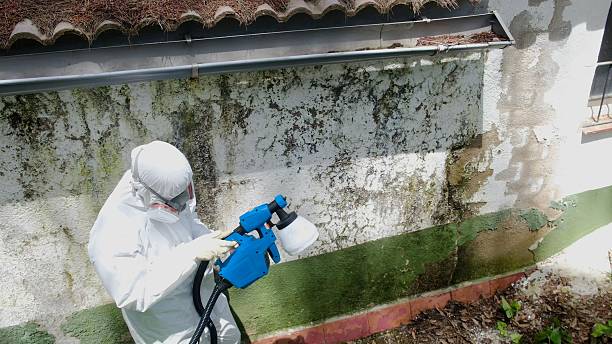 Top rated local Mold Remediation specialists in Bunn, NC